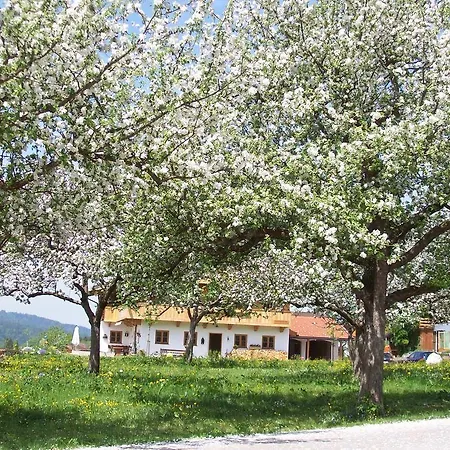 Regina Holzner Appartamento