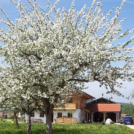 Appartamento Regina Holzner *