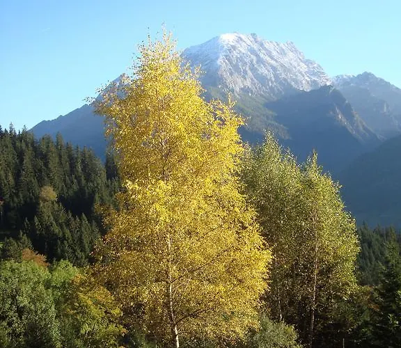 Regina Holzner * Inzell