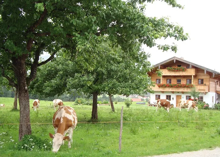 Regina Holzner *