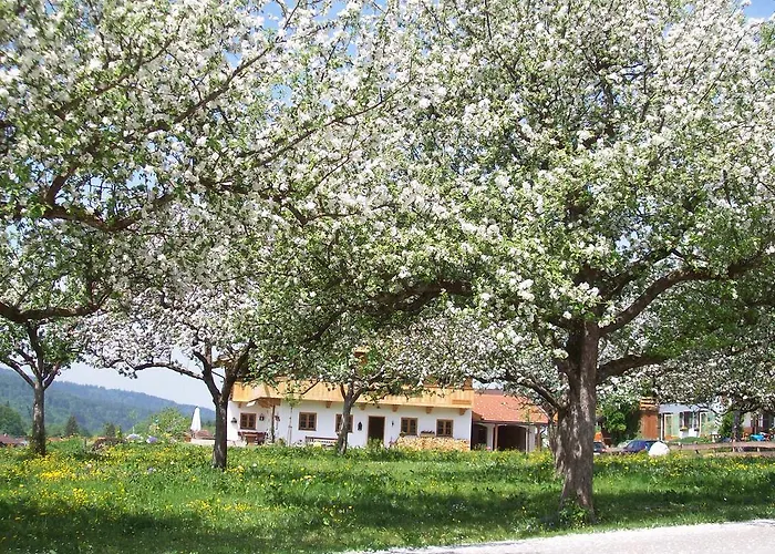 Regina Holzner Appartamento