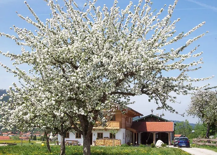 Appartamento Regina Holzner *